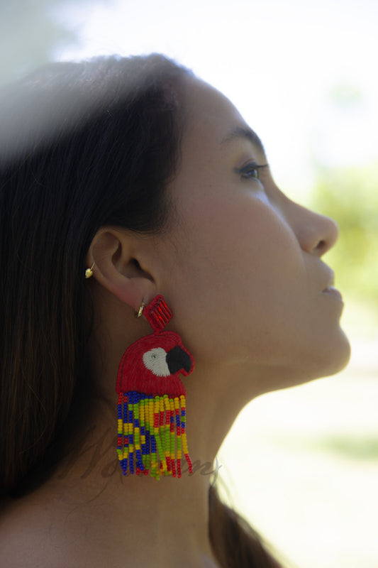 Macaw Earrings